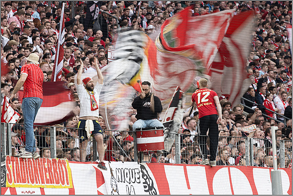 1. Fussball Bundesliga, 1.FC Köln - SC Freiburg, 04.05.2024