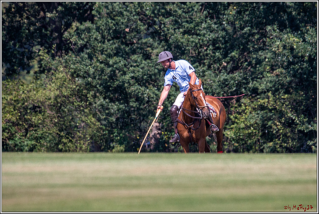 16. Polopicknick, 26.07.2019
