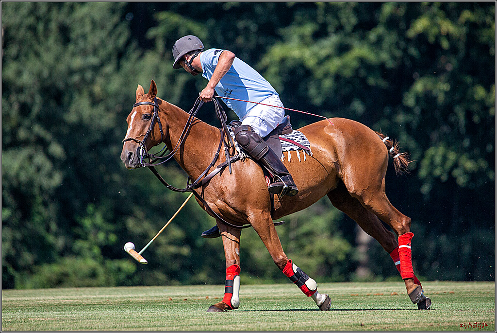 16. Polopicknick, 26.07.2019