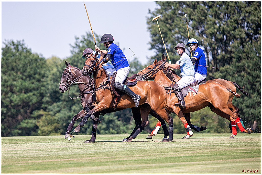16. Polopicknick, 26.07.2019