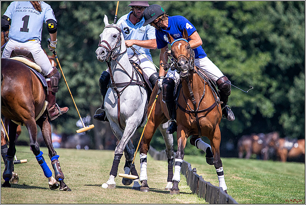 16. Polopicknick, 26.07.2019