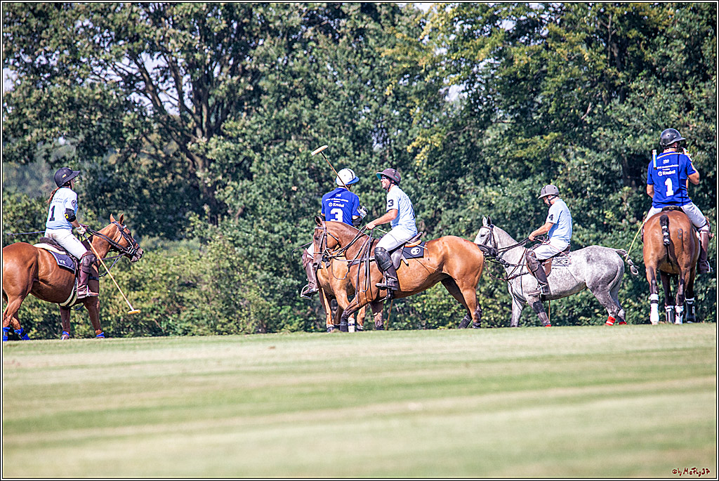 16. Polopicknick, 26.07.2019