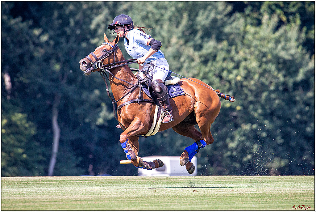 16. Polopicknick, 26.07.2019