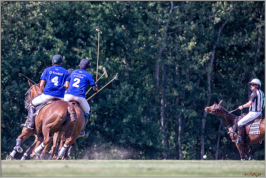 16. Polopicknick, 26.07.2019