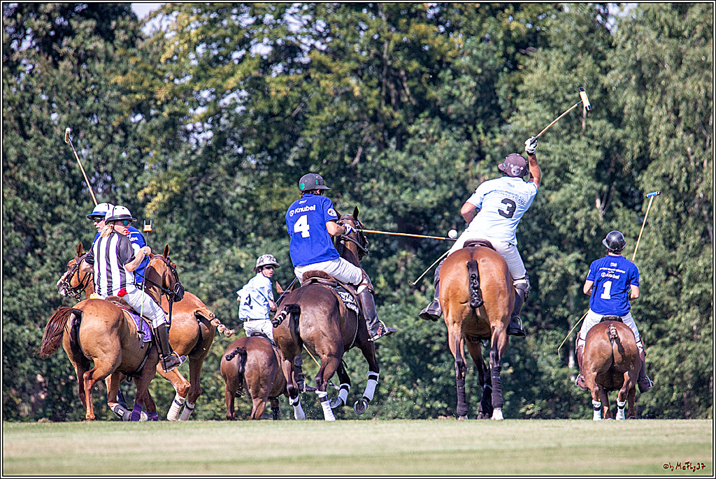 16. Polopicknick, 26.07.2019