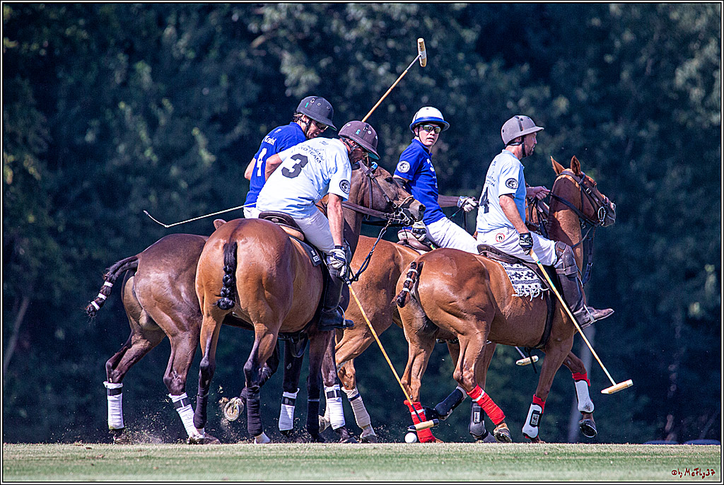 16. Polopicknick, 26.07.2019