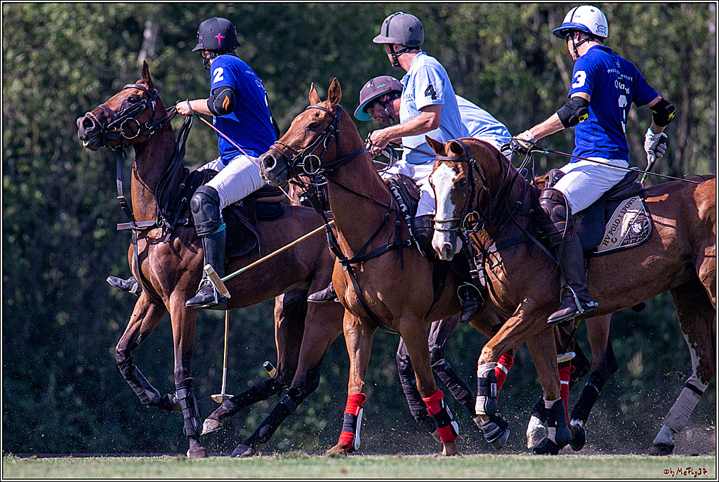 16. Polopicknick, 26.07.2019