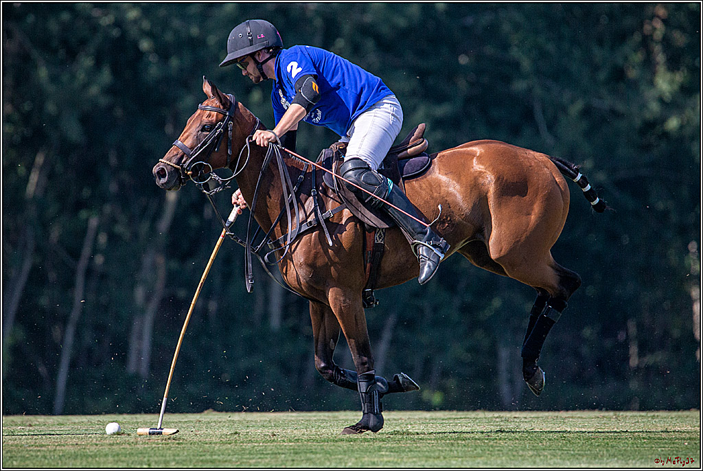 16. Polopicknick, 26.07.2019