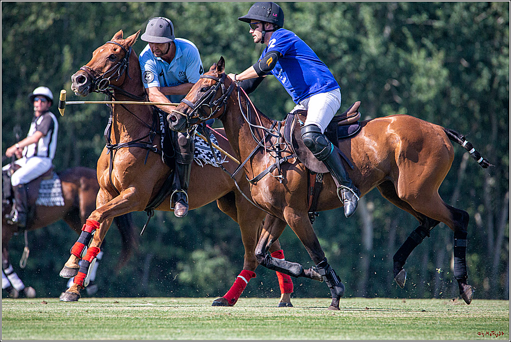 16. Polopicknick, 26.07.2019