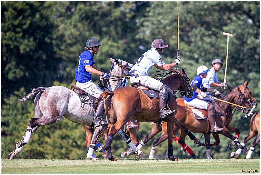 16. Polopicknick, 26.07.2019