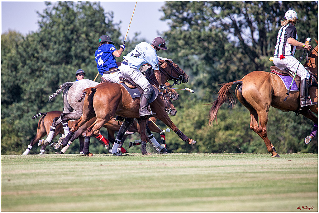 16. Polopicknick, 26.07.2019
