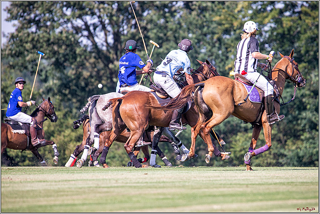 16. Polopicknick, 26.07.2019