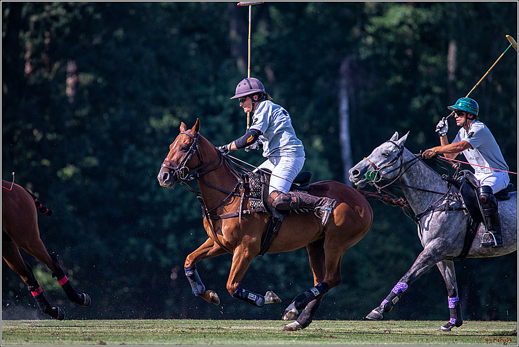 16. Polopicknick, 26.07.2019