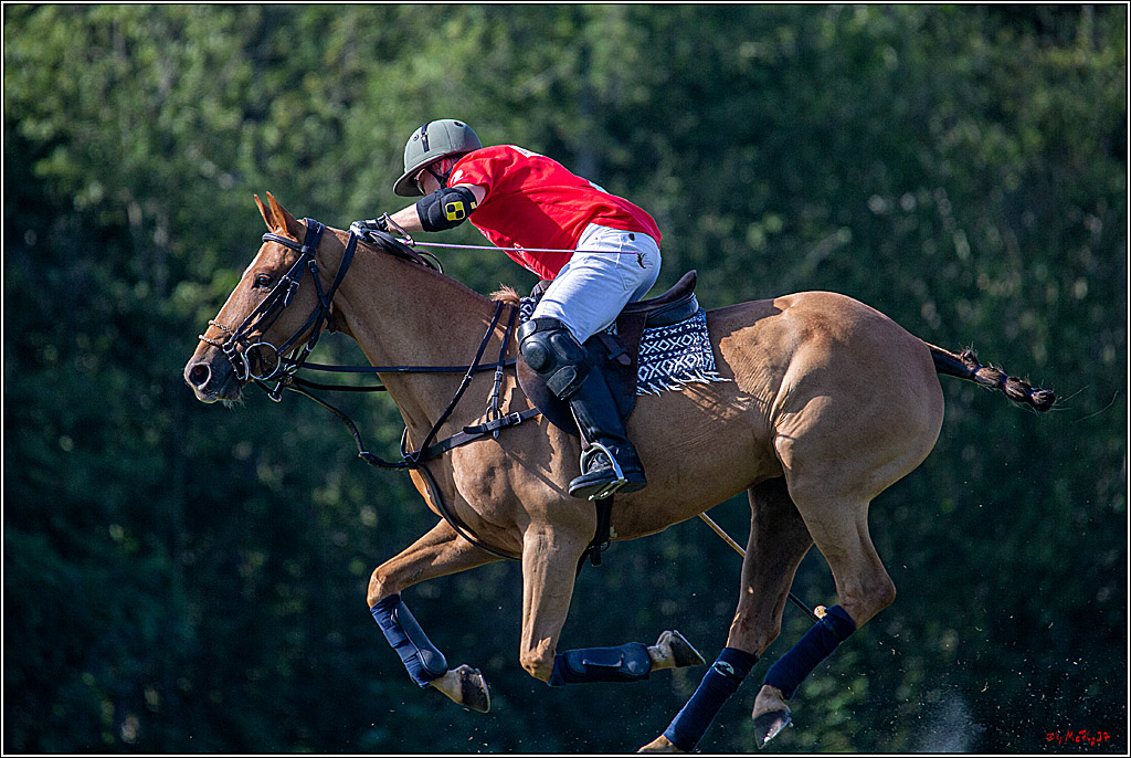 16. Polopicknick, 26.07.2019