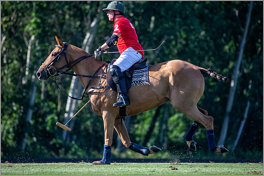 16. Polopicknick, 26.07.2019