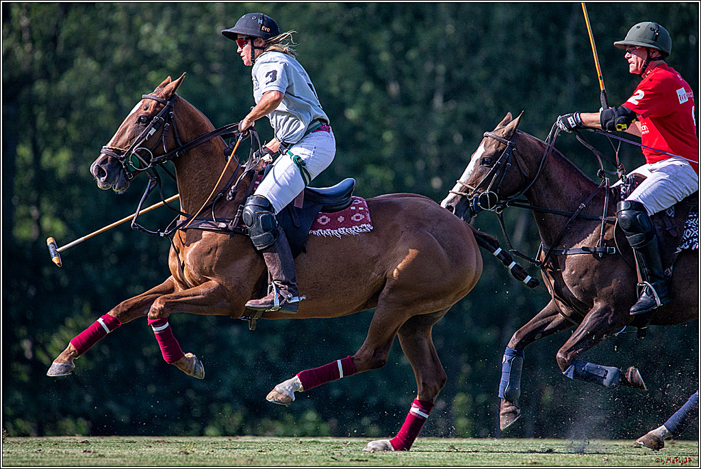 16. Polopicknick, 26.07.2019