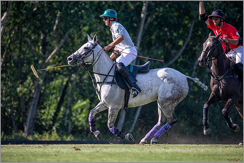 16. Polopicknick, 26.07.2019