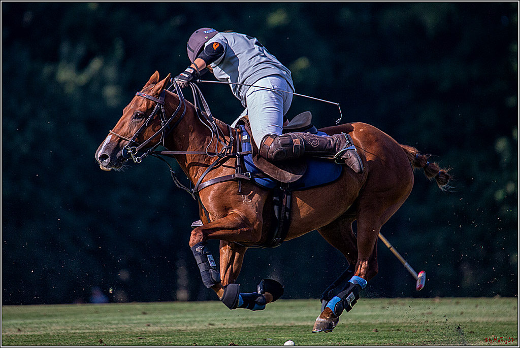 16. Polopicknick, 26.07.2019