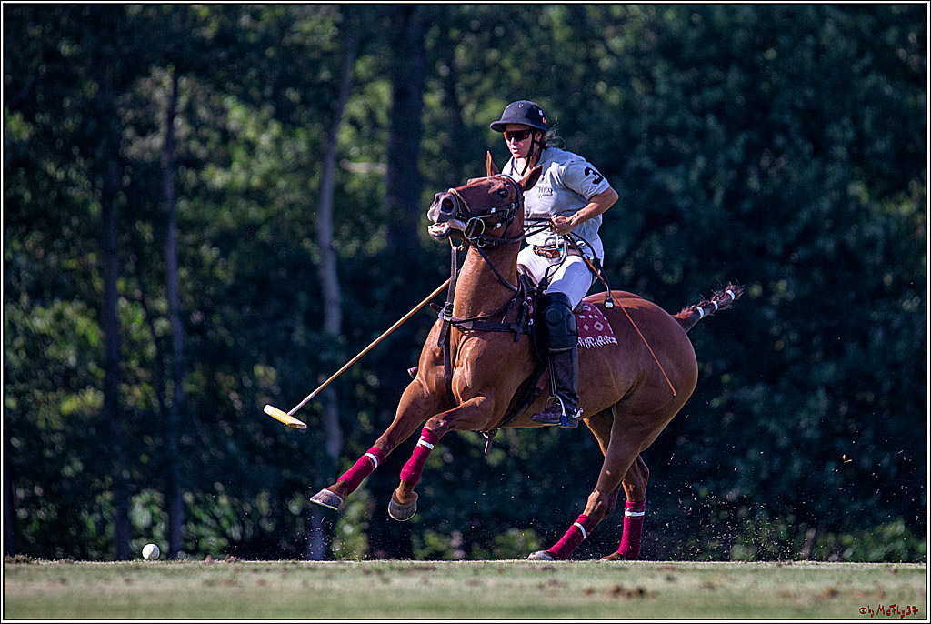 16. Polopicknick, 26.07.2019