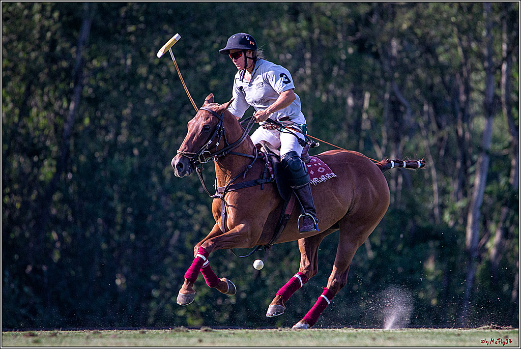 16. Polopicknick, 26.07.2019