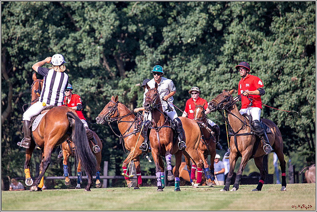 16. Polopicknick, 26.07.2019