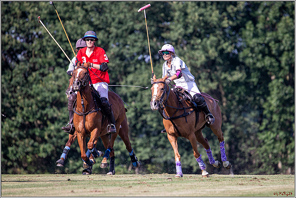 16. Polopicknick, 26.07.2019