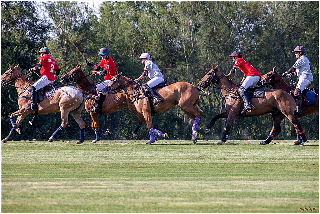 16. Polopicknick, 26.07.2019