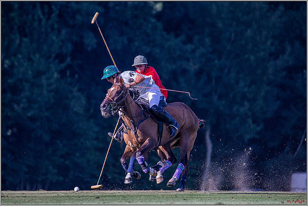 16. Polopicknick, 26.07.2019