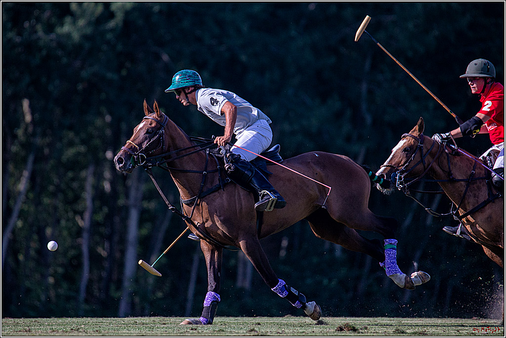 16. Polopicknick, 26.07.2019