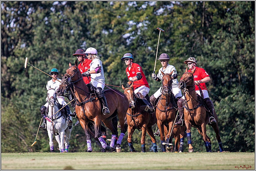 16. Polopicknick, 26.07.2019