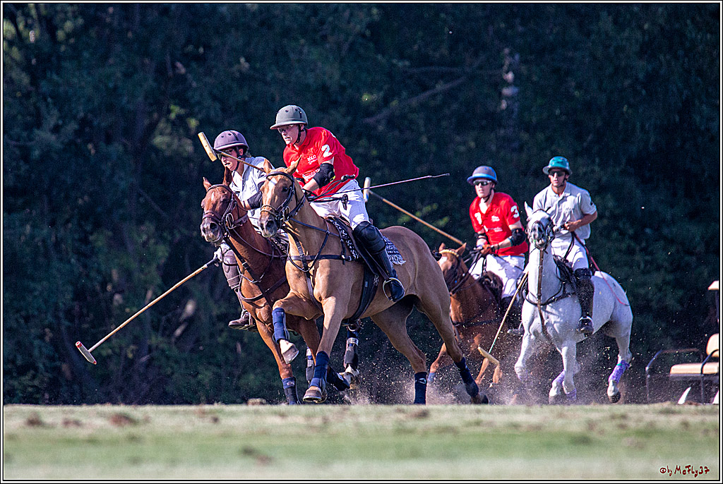 16. Polopicknick, 26.07.2019