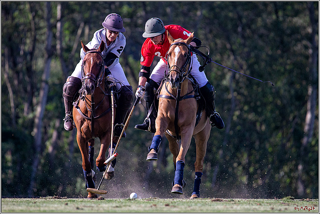 16. Polopicknick, 26.07.2019
