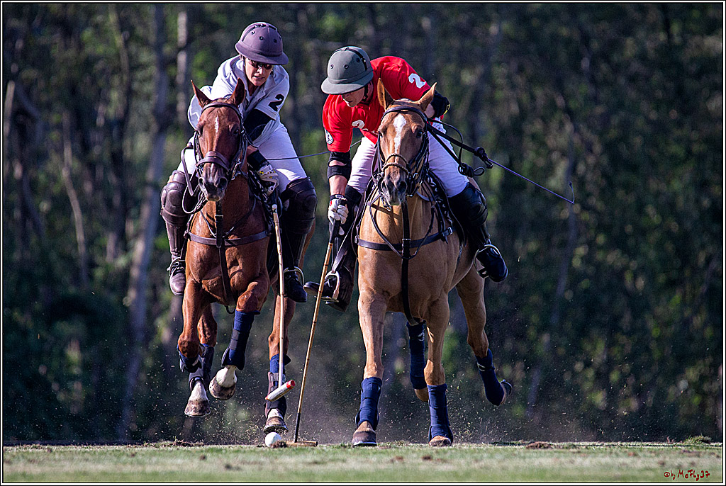 16. Polopicknick, 26.07.2019