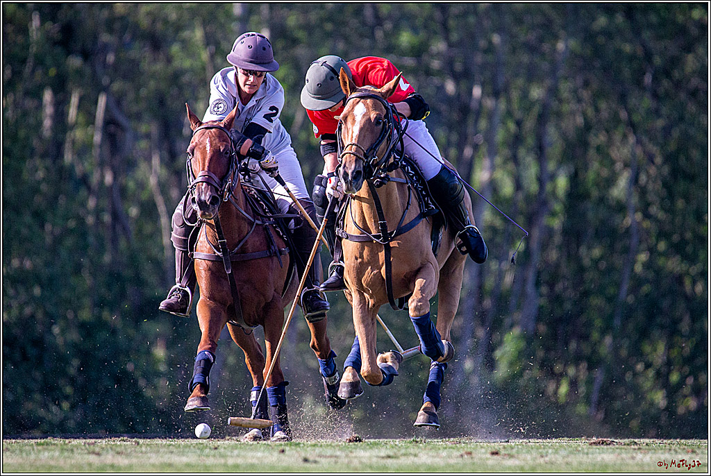 16. Polopicknick, 26.07.2019