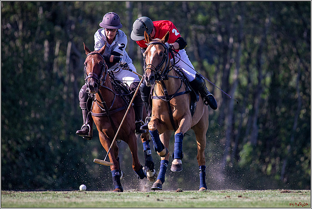 16. Polopicknick, 26.07.2019