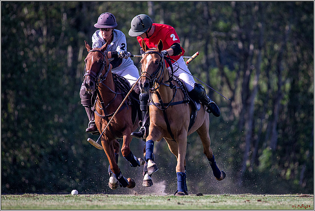 16. Polopicknick, 26.07.2019