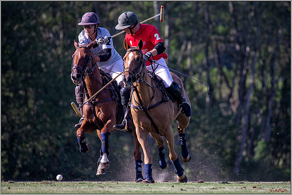 16. Polopicknick, 26.07.2019