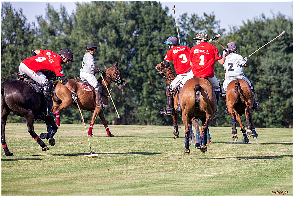 16. Polopicknick, 26.07.2019