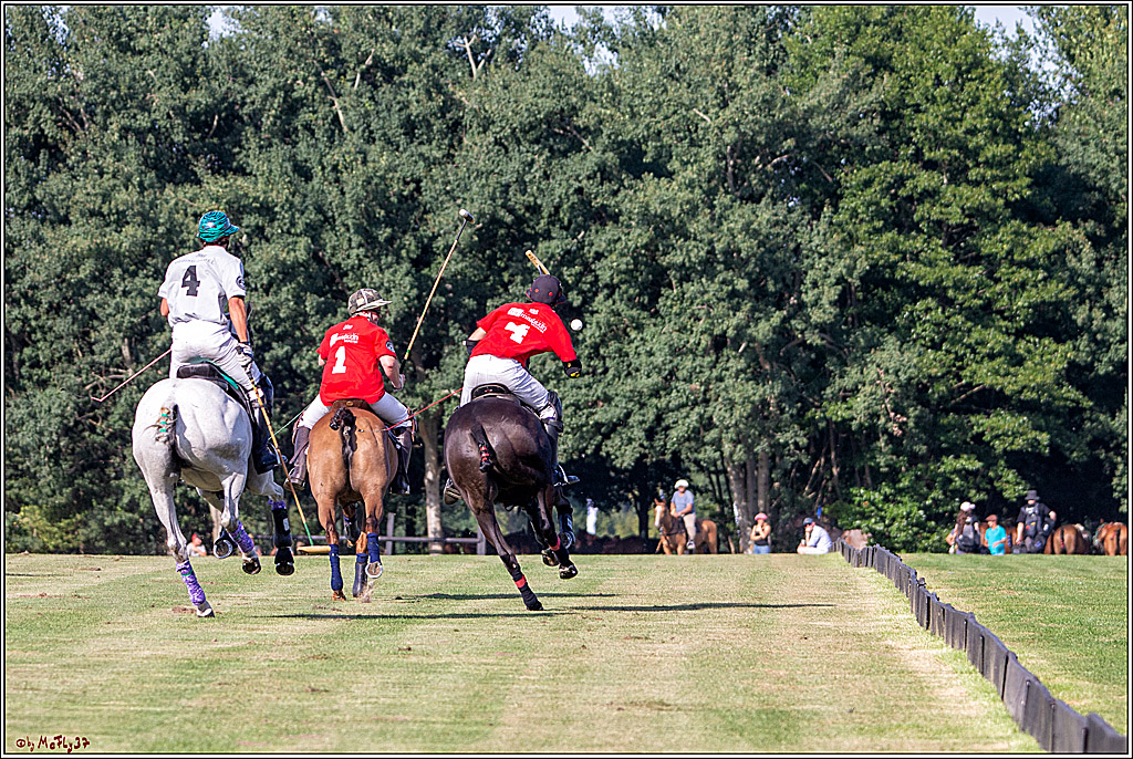 16. Polopicknick, 26.07.2019