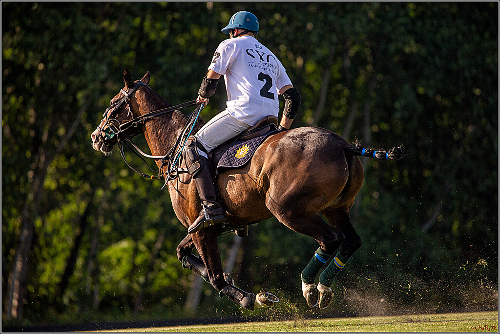 16. Polopicknick, 26.07.2019
