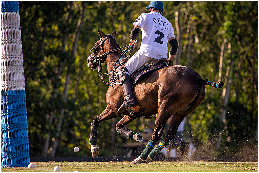 16. Polopicknick, 26.07.2019