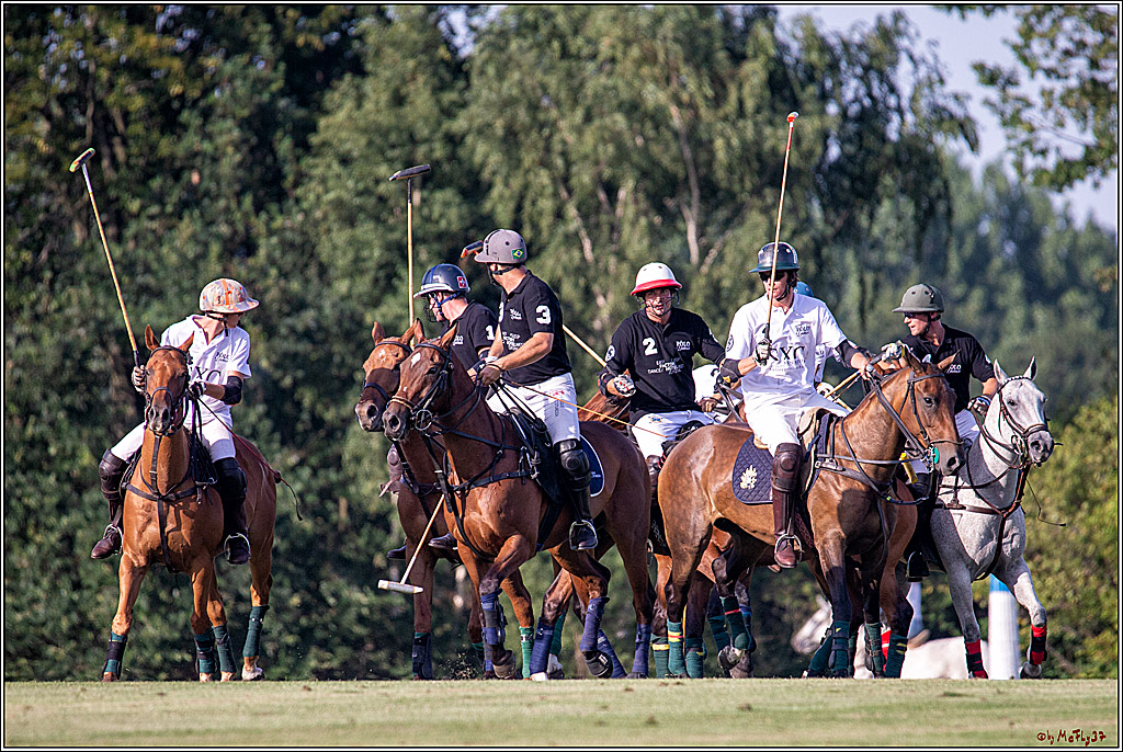 16. Polopicknick, 26.07.2019