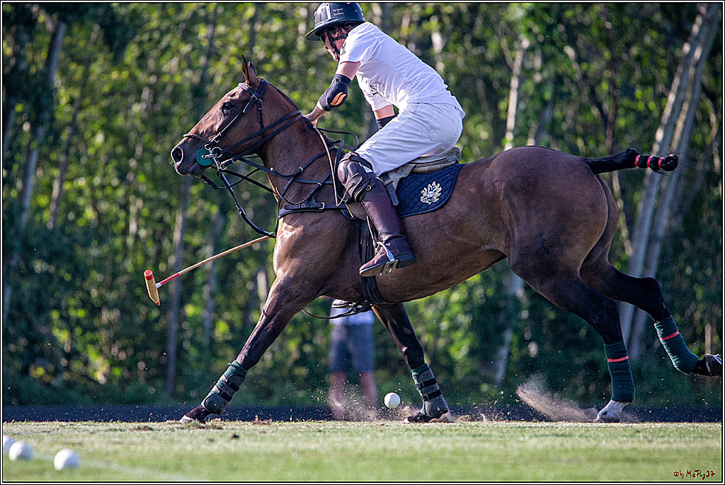 16. Polopicknick, 26.07.2019