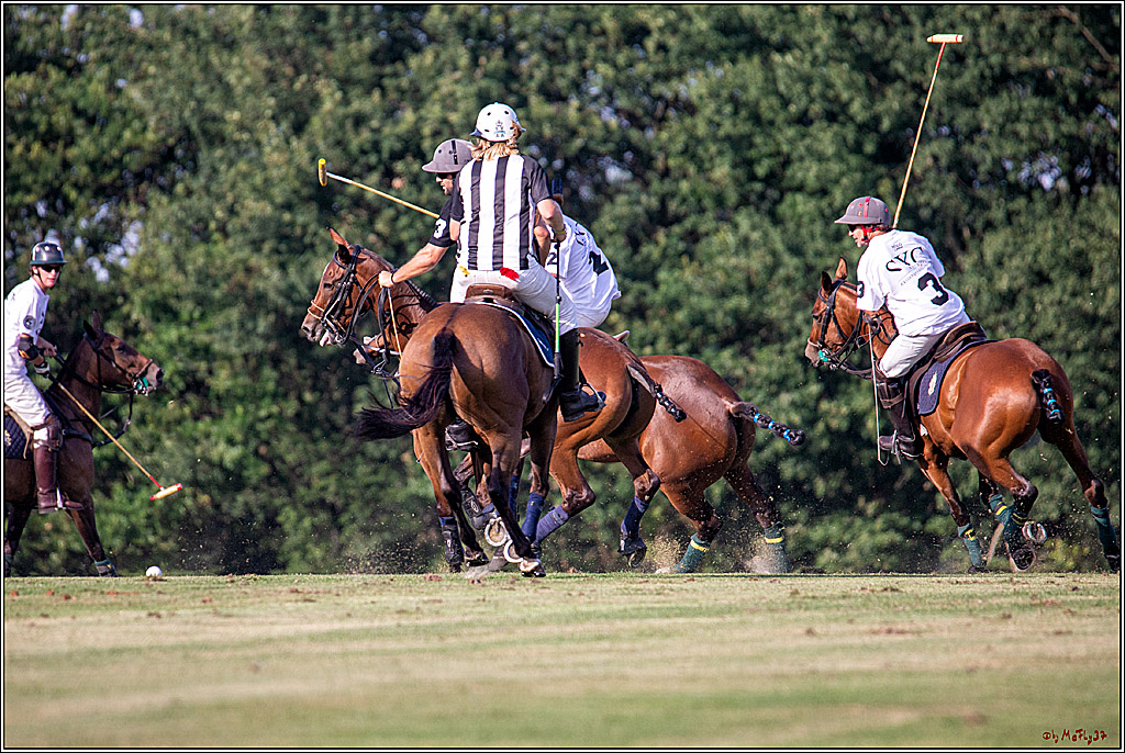 16. Polopicknick, 26.07.2019
