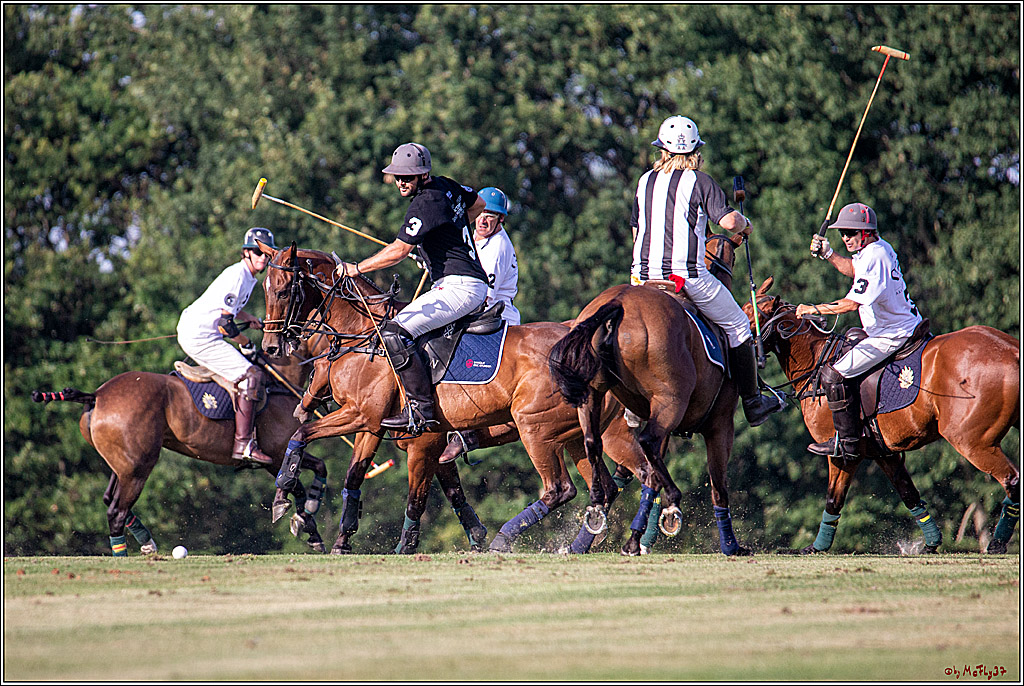 16. Polopicknick, 26.07.2019