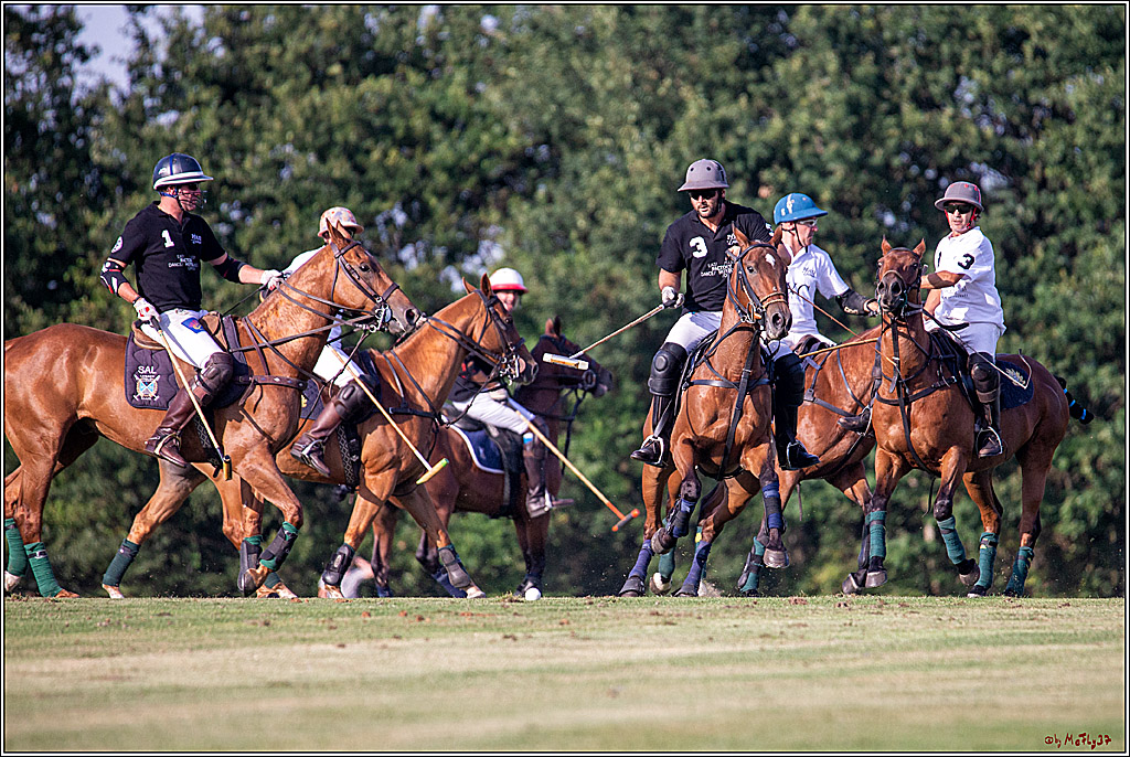 16. Polopicknick, 26.07.2019