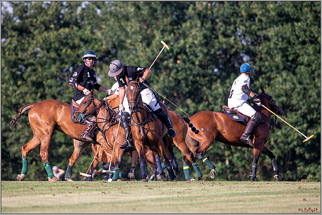 16. Polopicknick, 26.07.2019