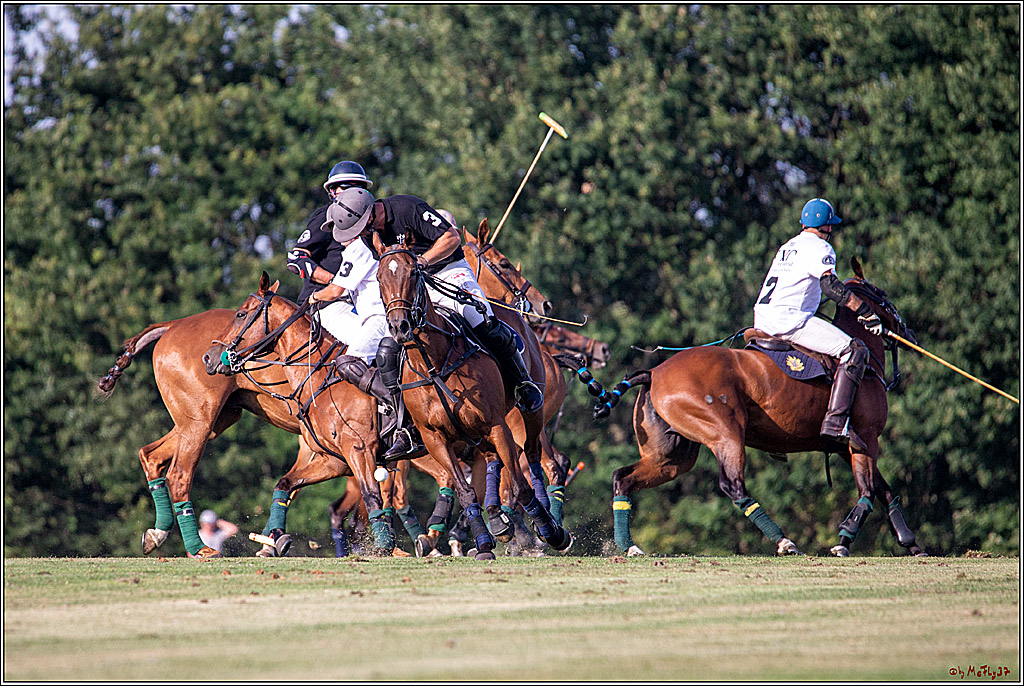 16. Polopicknick, 26.07.2019