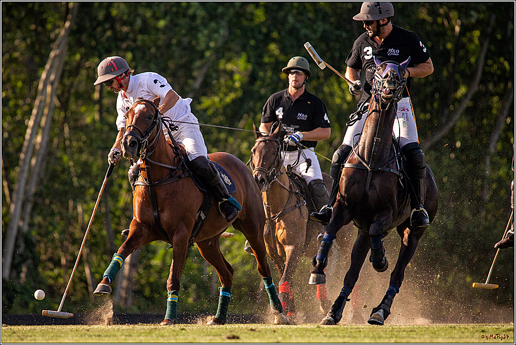 16. Polopicknick, 26.07.2019