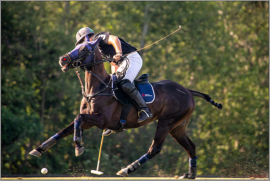16. Polopicknick, 26.07.2019